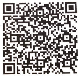 UPI QR Code